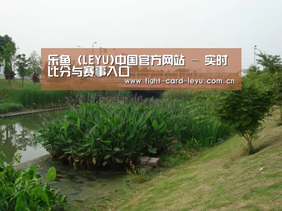 案例展示四(图1)