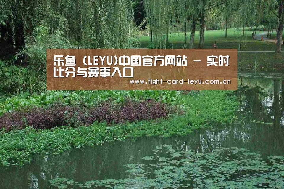 案例展示一(图1)