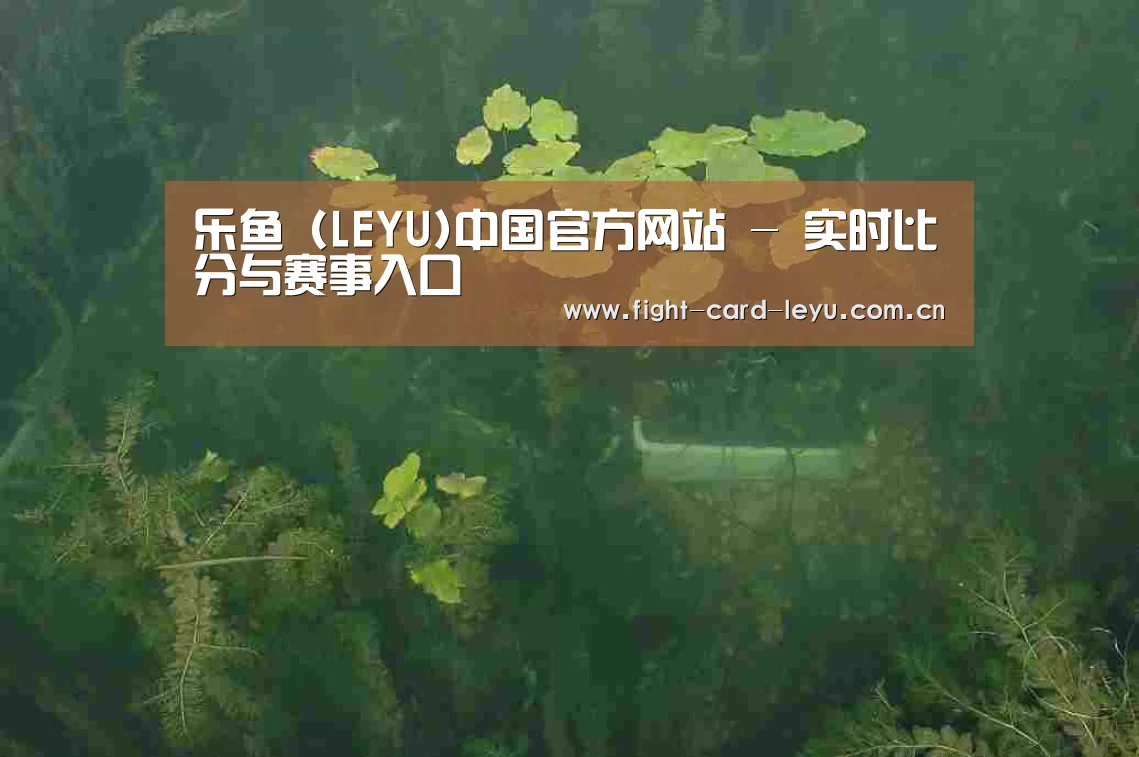 案例展示三(图1)
