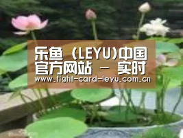 产品名称一