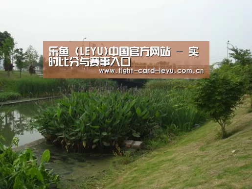 案例展示四