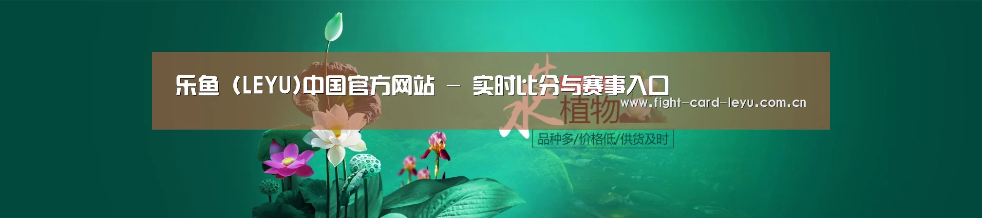 鲜花水草花卉网站模板