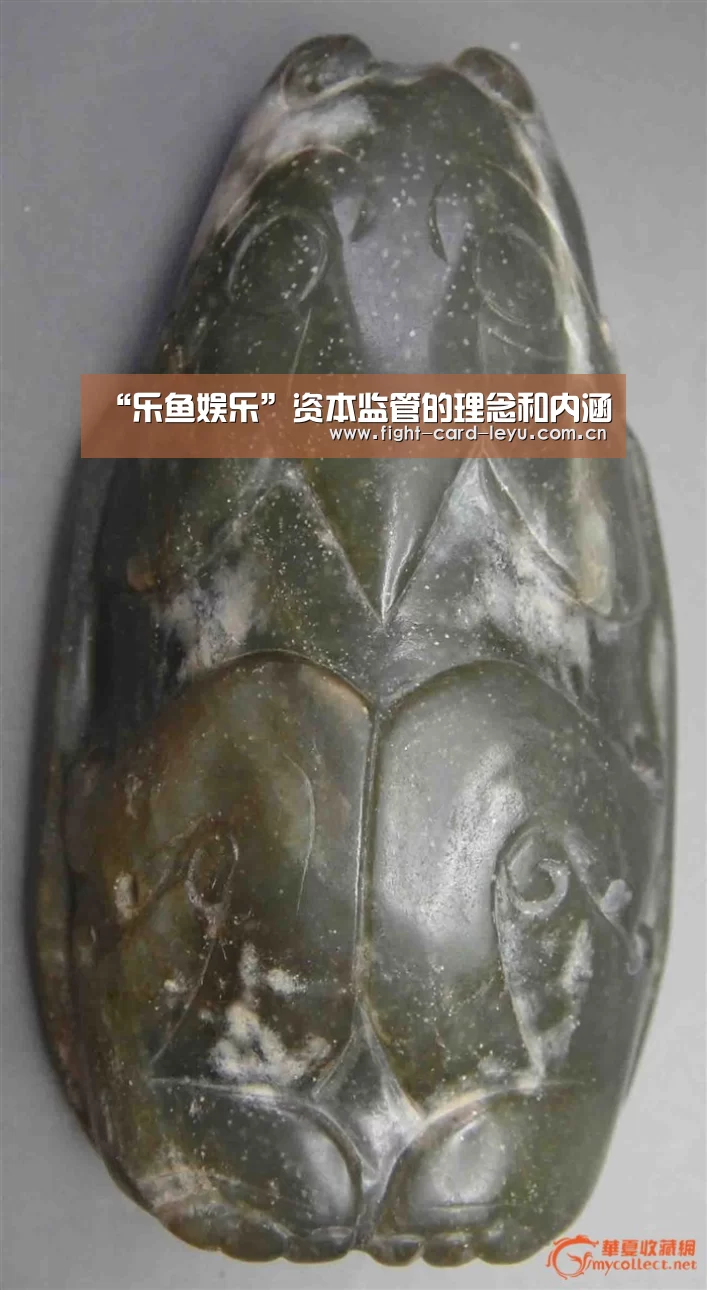 乐鱼平台