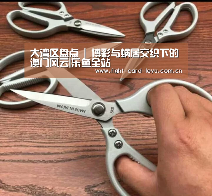 大湾区盘点 | 博彩与蜗居交织下的澳门风云|乐鱼全站(图2) 乐鱼全站