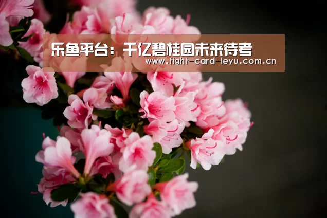 乐鱼娱乐