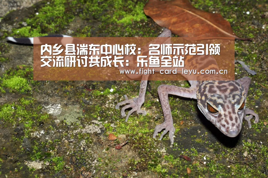 乐鱼娱乐