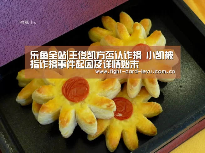 乐鱼全站|王俊凯方否认诈捐 小凯被指诈捐事件起因及详情始末(图3) 乐鱼娱乐